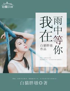 我在雨中等你经典句子