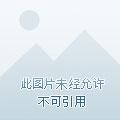 我的梁山我做主