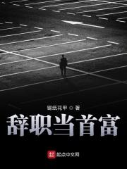 辞职当首富
